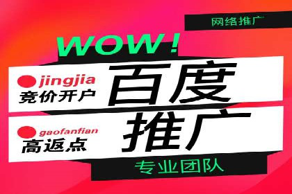 百度竞价推广公司成功案例解析